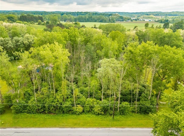 Filkins Road, Arcadia, NY 14513
