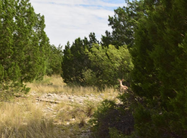 4-J Ranch Phase -3 Tracts 27 & 28, Del Rio, TX 78840