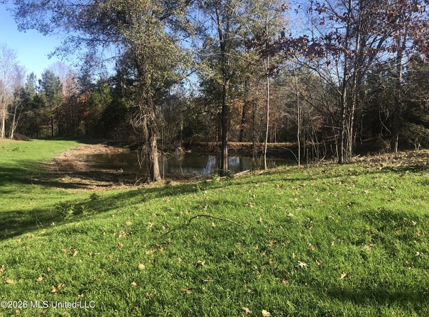 53 Cliffs Plantation Road, Natchez, MS 39120