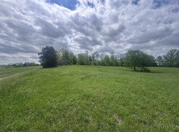 110 Witzel's Way, Mt Olivet, KY 41064