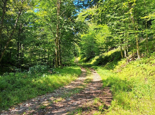 21 Doe Run Road, Galeton, PA 16922