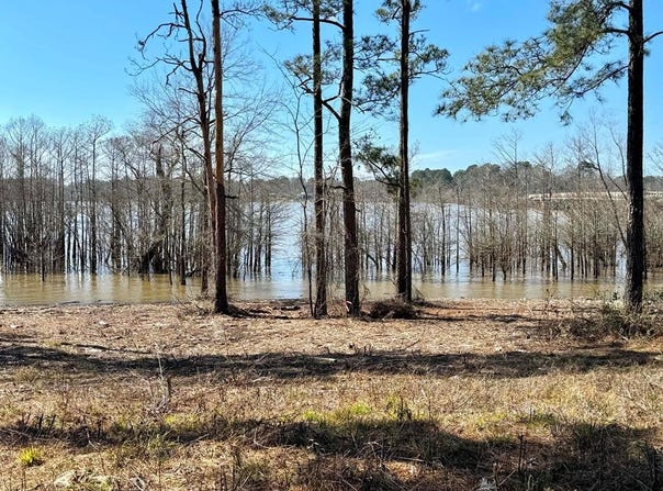 FM 83 lot: 004, Broaddus, TX 75929