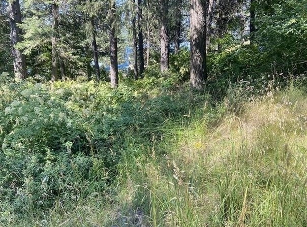 4619 Terrace Rd, Loon Lake, WA 99148