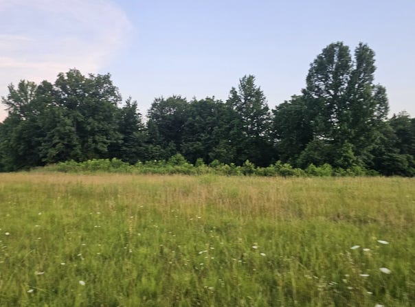014 Tomahawk Slab Road, Saint Joe, AR 72675