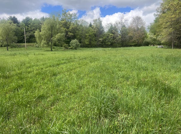 Country Wood Lane, Crawley, WV 24931
