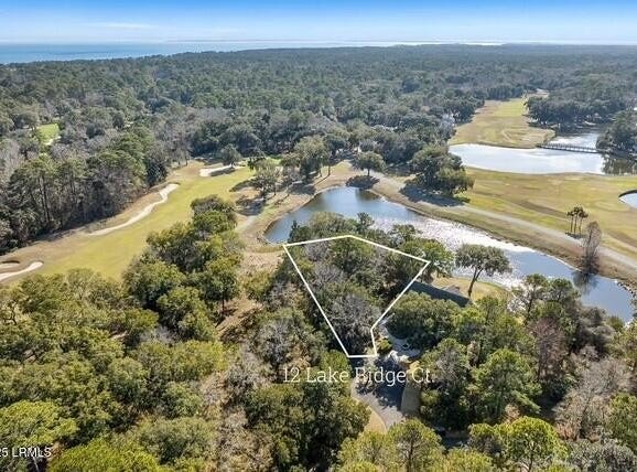 12 Lake Ridge Court, Daufuskie Island, SC 29915