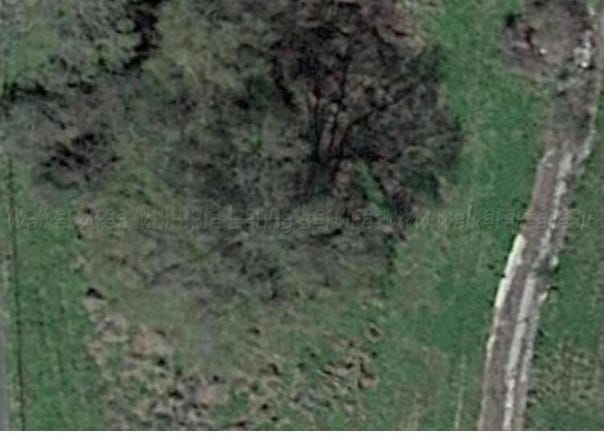 2215 ALABAMA Ave, Haleyville, AL 35565