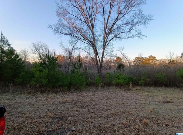 COMERDALE ROAD lot: 00, SYLACAUGA, AL 35150