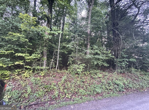 0 Chastain, Sautee Nacoochee, GA 30571