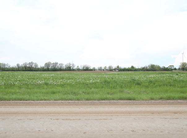 1000 E Beal City Road, Rosebush, MI 48878