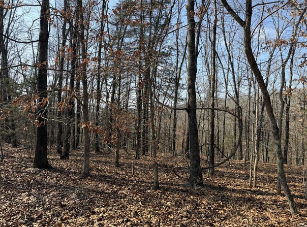Walnut Springs Drive lot: 112, Cape Fair, MO 65624