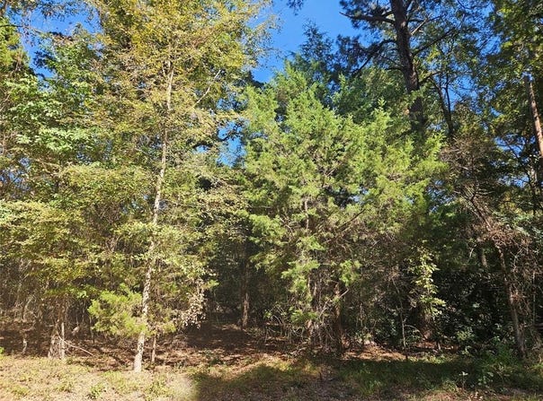 152 Timber Bluff Road, Bullard, TX 75757