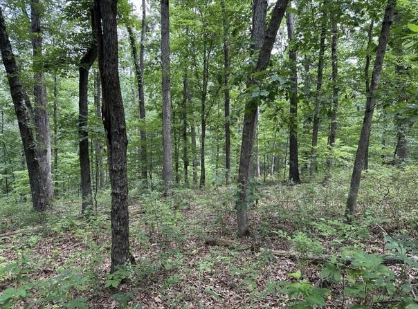 Lot 7 Eccleston  LN, Bella Vista, AR 72714