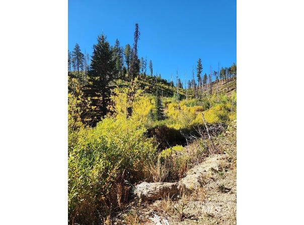 Tbd Marsh Creek, Featherville, ID 83647