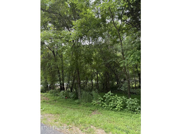 281 Ootsima Way, Loudon, TN 37774