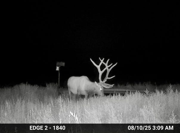 84521 CR 40.2, Branson, CO 81027