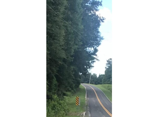 Tbd Izlar Street, Blackville, SC 29817
