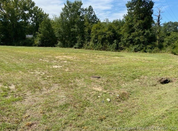 352 Mckay Drive, Spring Lake, NC 28390