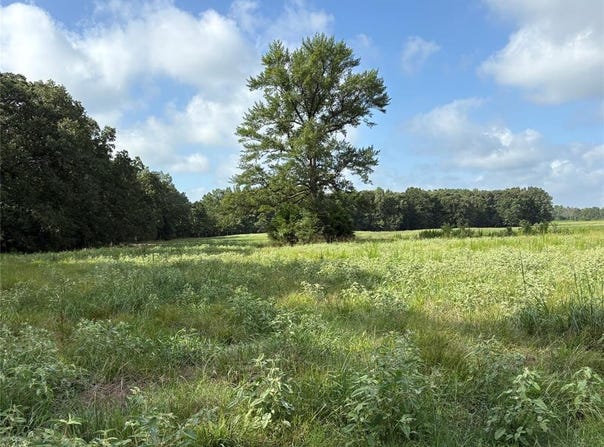 Tbd CR 2120, Talco, TX 75487