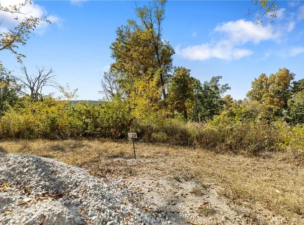 Lot 28 Peaceful  PL, Harrison, AR 72601