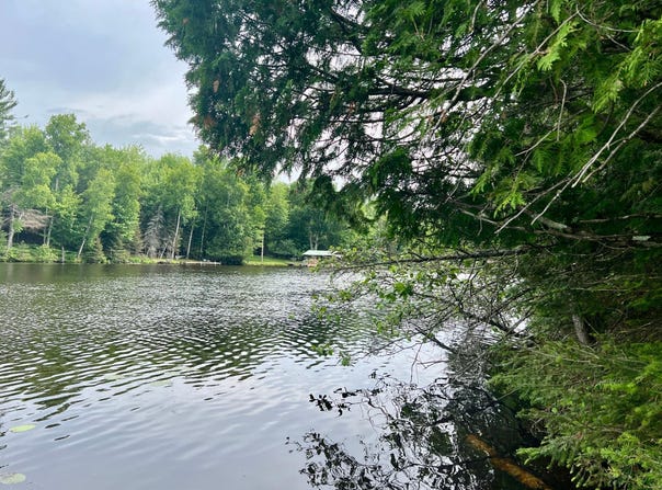 100' Ftg CLOVERLAND DR, Eagle River, WI 54521