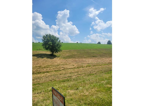 0 Cherry Grove Road, Flemingsburg, KY 41041