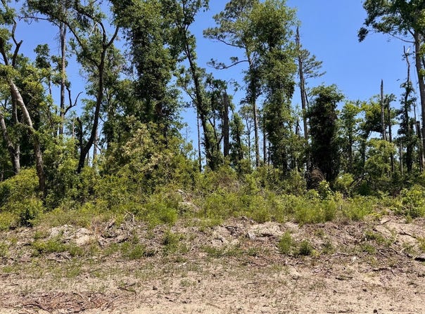 41&42 237TH ROAD, Live Oak, FL 32060