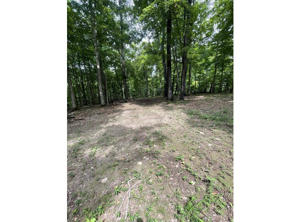 Lot 1 Moore Road, Lavalette, WV 25535