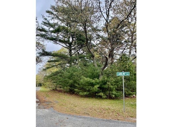 2 Carolines Way, Orleans, MA 02653