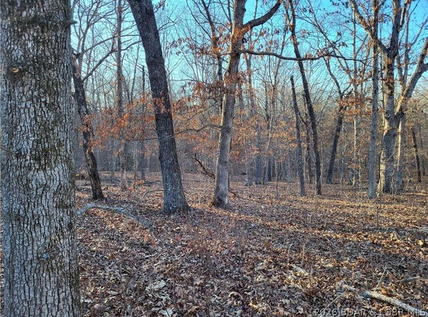 Wenzel Place, Edwards, MO 65326