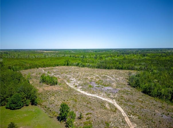 Tract 1 Scuffletown Road, Other, GA 31518