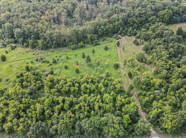 0 Jennings Rd Road, Whitmore Lake, MI 48189