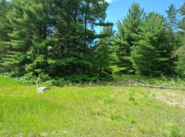 Lot #1 Red Hawk, Fife Lake, MI 49633