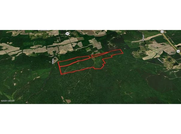 0 Hornsby DeBerry Lane, Hornsby, TN 38044