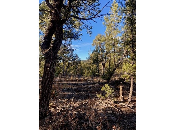 Los Nidos Lane, Pecos, NM 87552