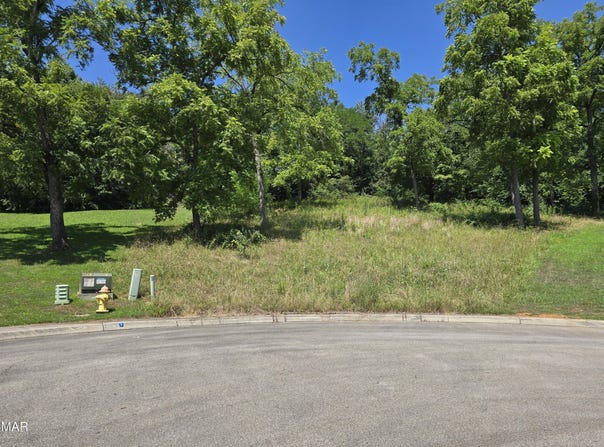 Lot 5 Morningside Lane, Dandridge, TN 37725