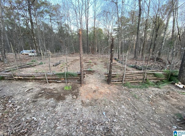 12700 PLANT ROAD, ALPINE, AL 35014