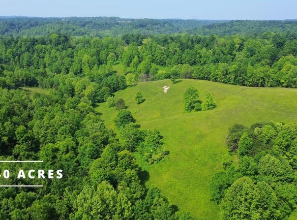 Dillon Hollow, Scottown, OH 45678