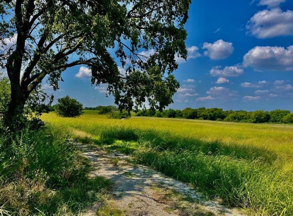 Tbd County Road 1520, Bonham, TX 75418