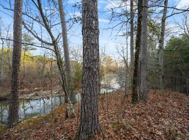 26 Painted Bunting Trail, Smithville, OK 74957
