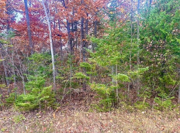 Pine Street lot: 45, Presque Isle, MI 49777