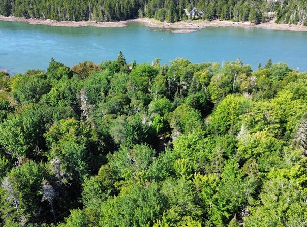 Tom Leighton Point Road lot: 5C, Milbridge, ME 04658