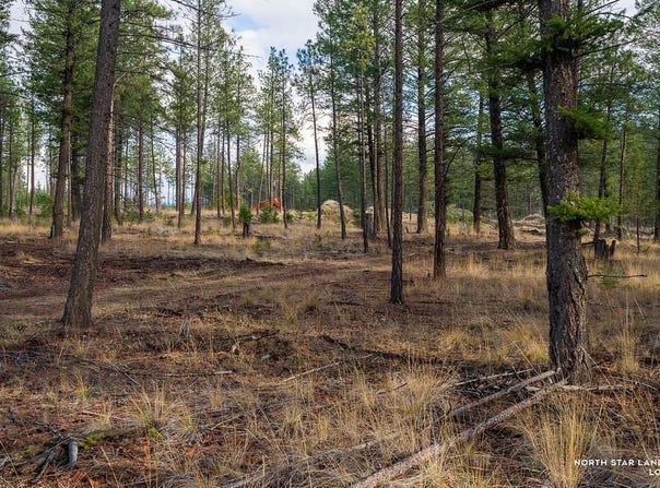 Basin Bend lot: 49, Eureka, MT 59917