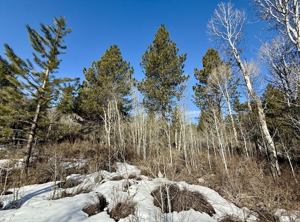 German Brown Lane, Chiloquin, OR 97624