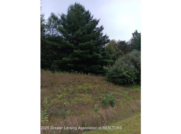20 Bennington Greens, Owosso, MI 48867