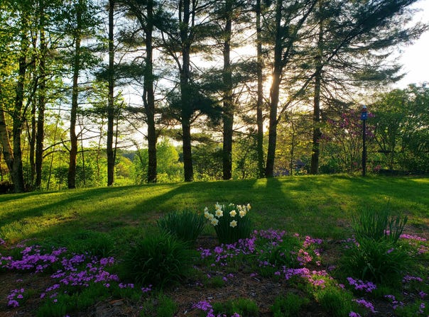 Cook Road, Windham, ME 04062