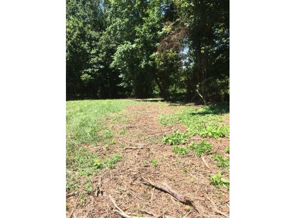 Murdock Road unit: Tract C, Belton, SC 29627