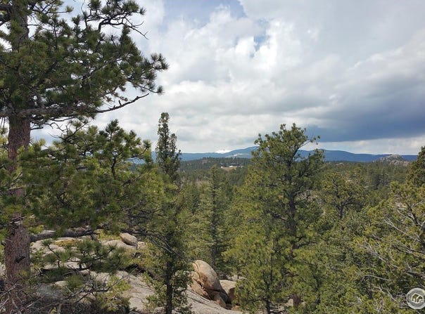 2928 Fox Acres Dr E, Red Feather Lakes, CO 80545