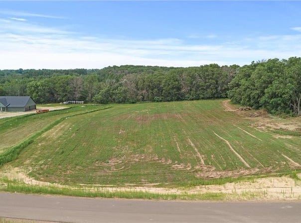 13396 295th Ave NW, Princeton, MN 55371