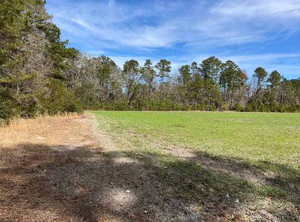 6005 Old Salkehatchie Rd, Early Branch, SC 29916